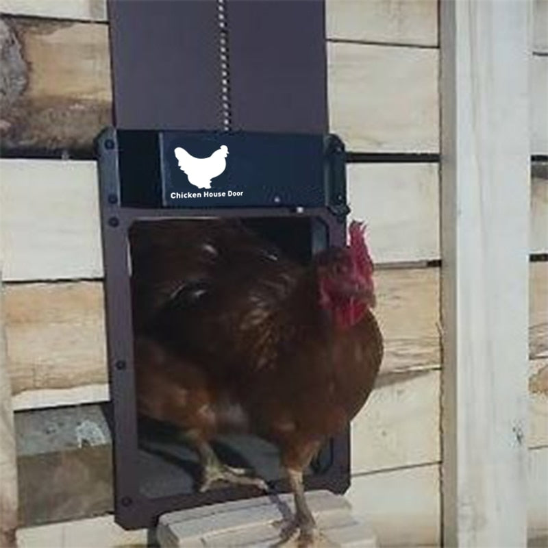 Automatische Hühnerstalltür