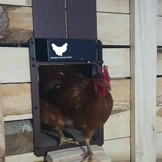 Automatische Hühnerstalltür