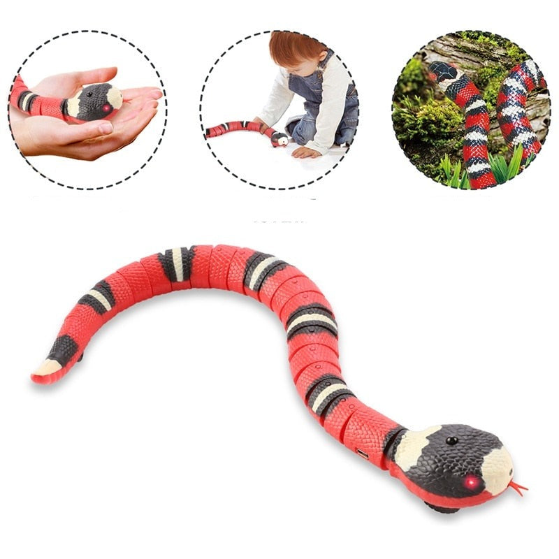 Schlange Katzenspielzeug