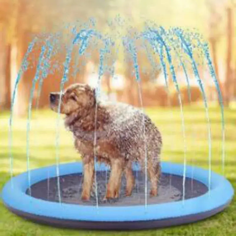 Splash & Spray Summer Haustier-Pool