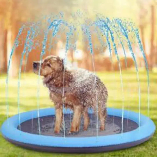 Splash & Spray Summer Haustier-Pool