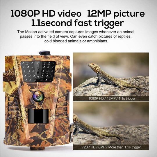 Wildcam Pro
