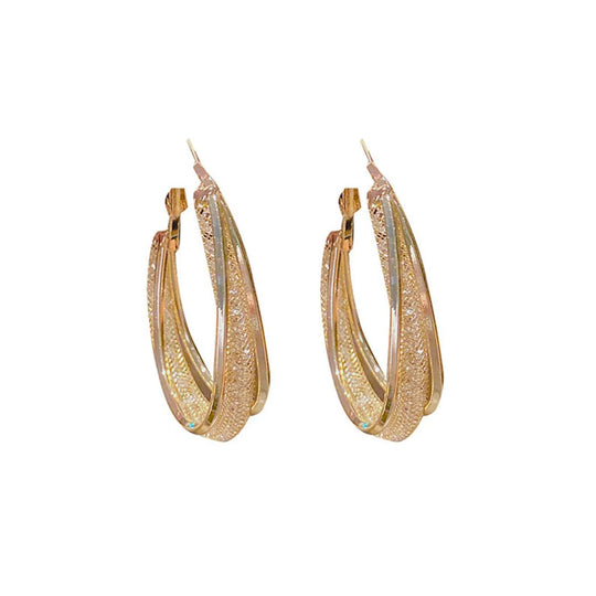 Ovale Glänzende Ohrringe